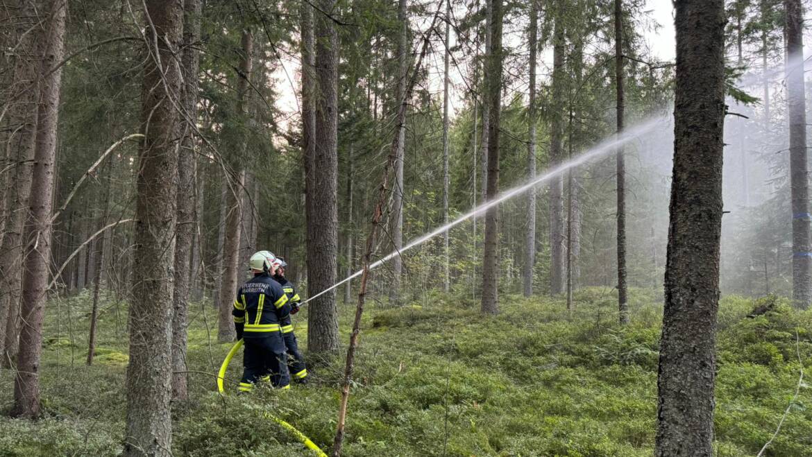 Monatsübung August